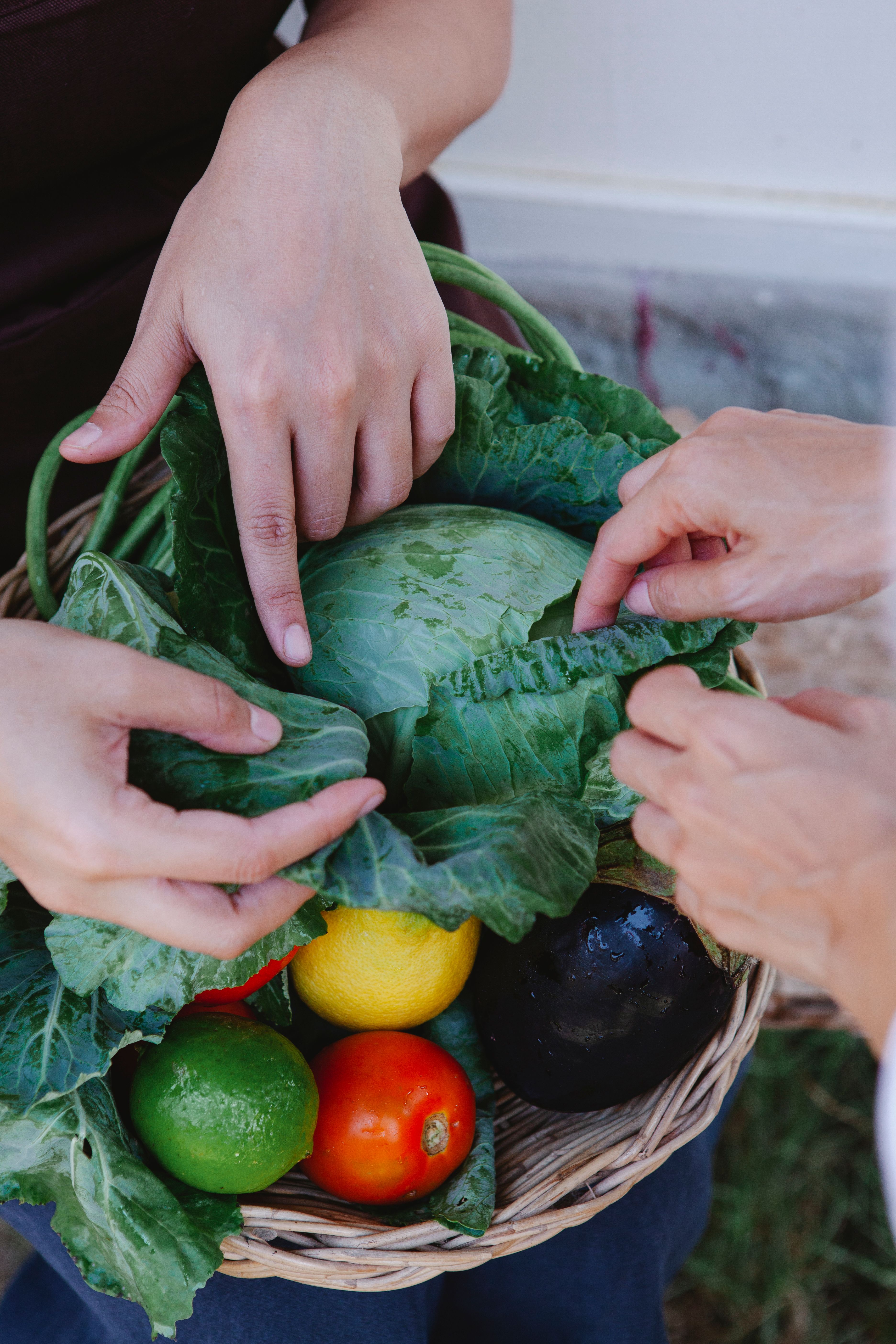 Hands of Persons Holding Fresh Vegetables in a Woven Basket · Free ...