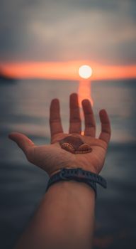 Crop faceless male with wristwatch demonstrating seashells while holding hand against ocean at sundown