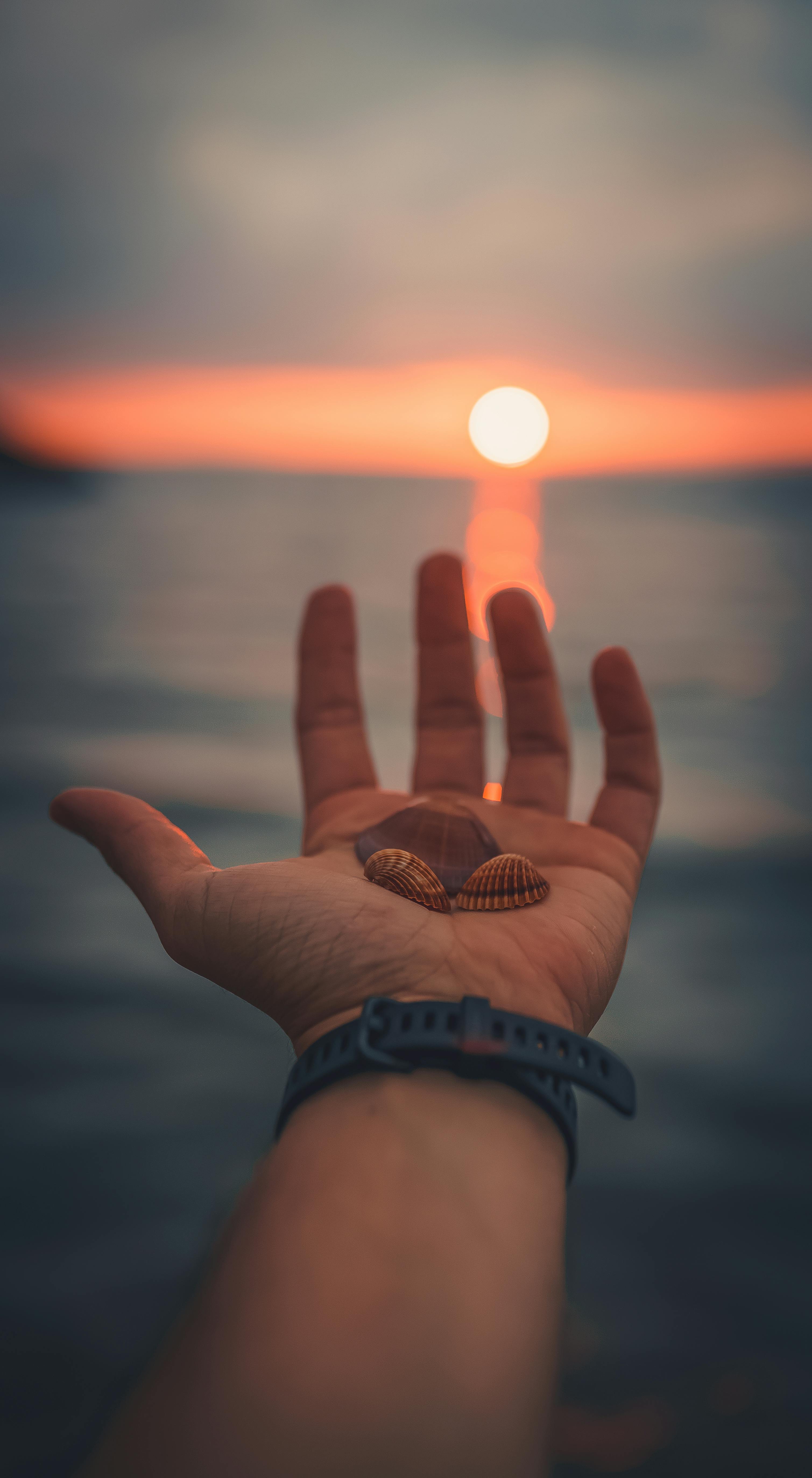 Crop woman demonstrating seashell rings near water · Free Stock Photo