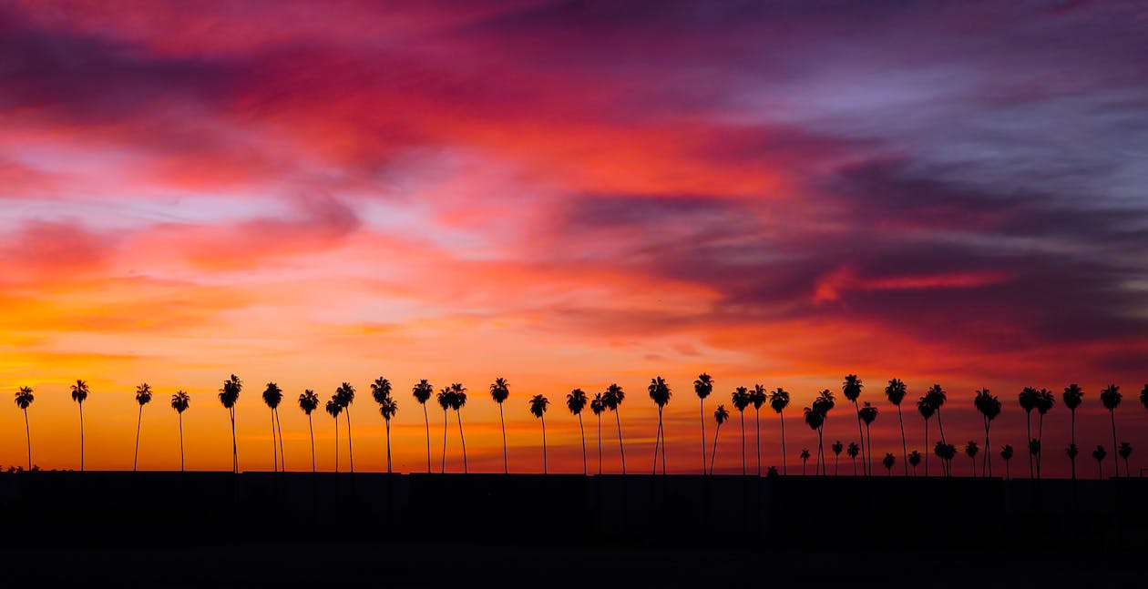 Photos gratuites de aube, cocotiers, coucher de soleil