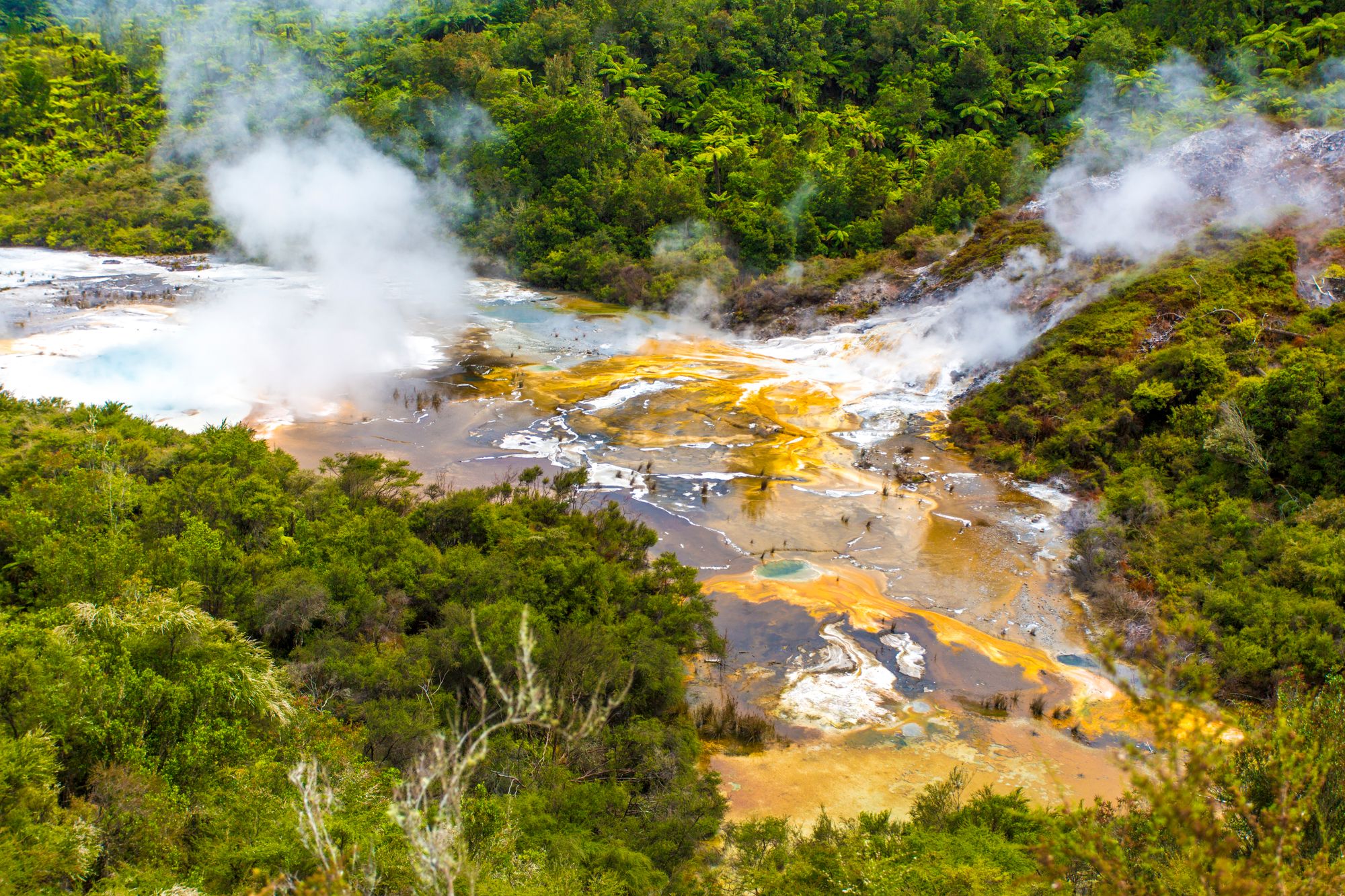 Taupo
