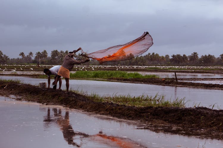 Fishermen Fishing On Swamp