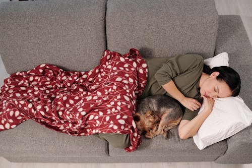 Free Woman Sleeping on Sofa with Her Pet Stock Photo