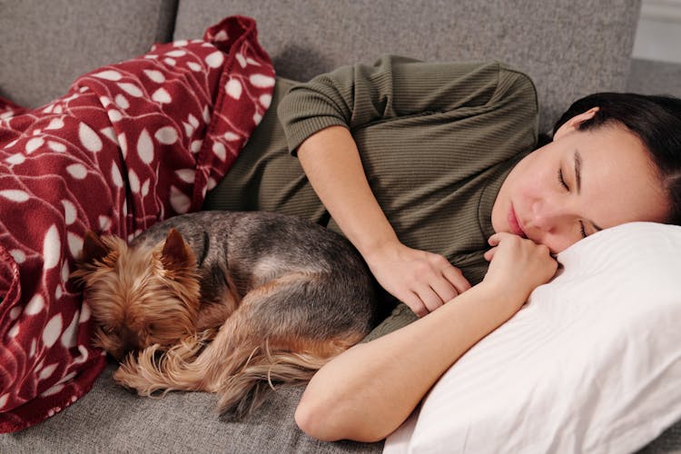 Woman Sleeping On Sofa With A Dog