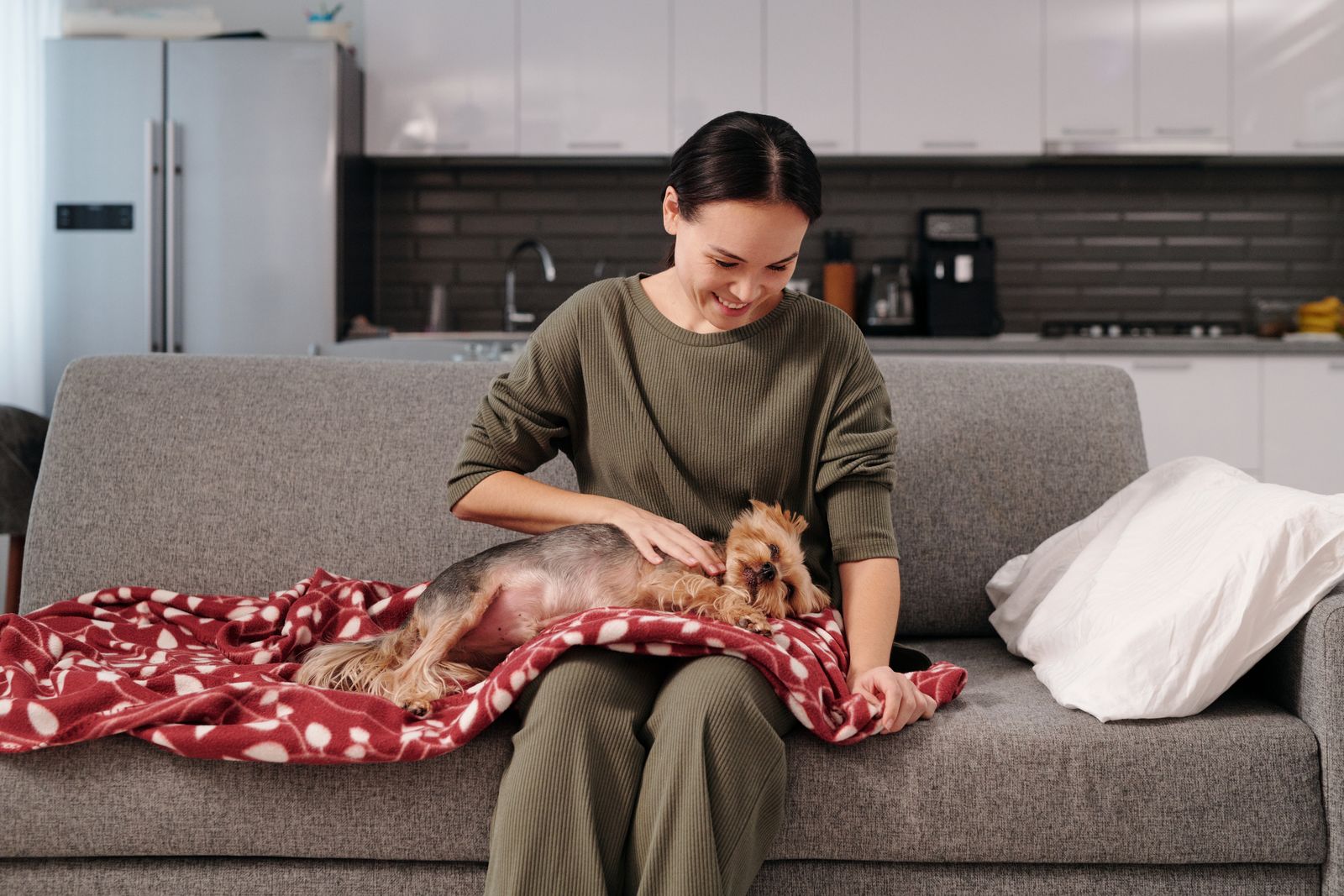Relaxed dog resting at home while an in-home pet sitter visits