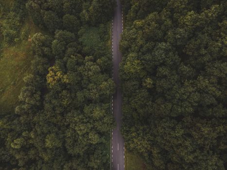 Drone shot capturing a tranquil road dividing a lush green forest.