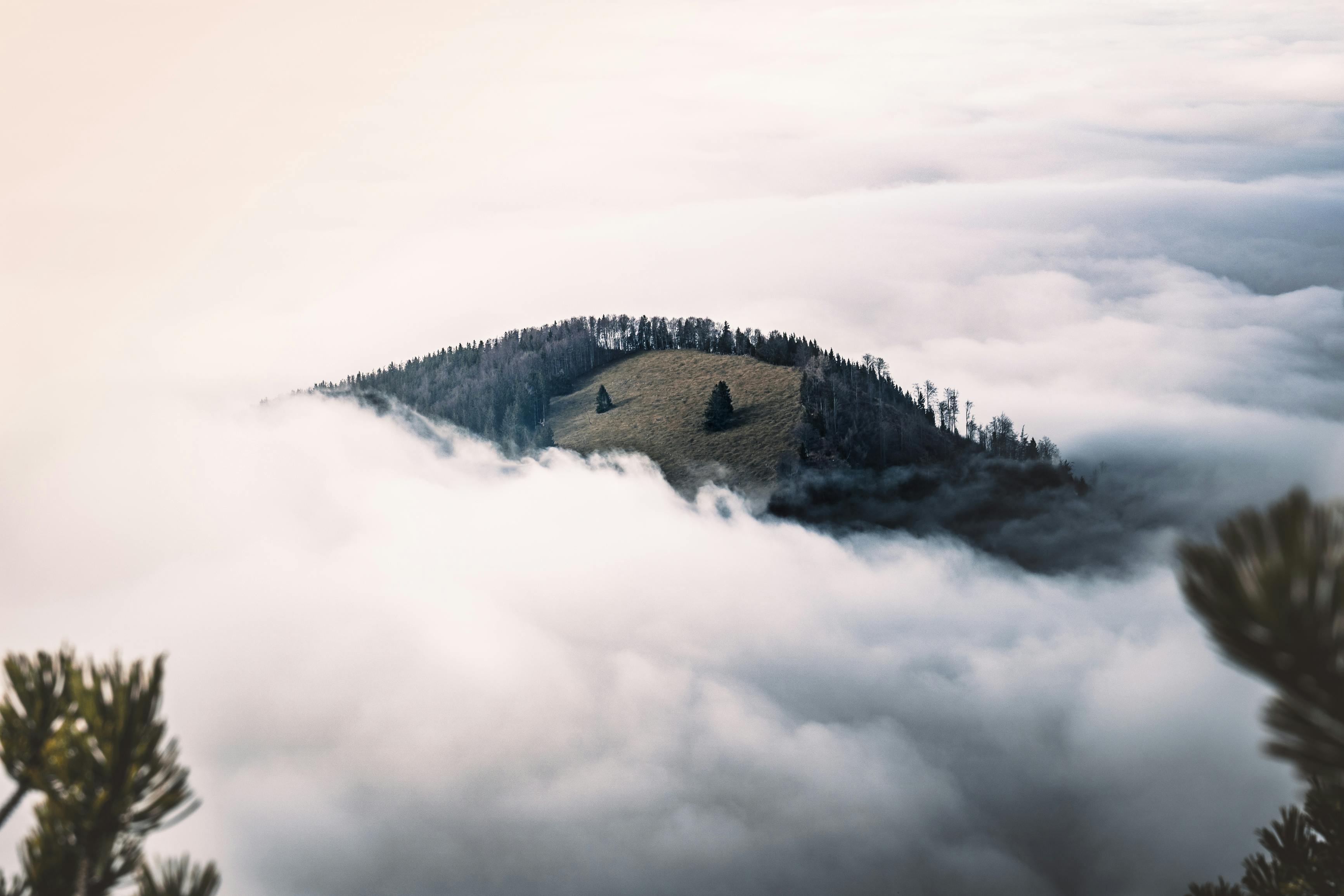 A secluded mountain peak emerges from a sea of clouds, creating a serene and mystical atmosphere.
