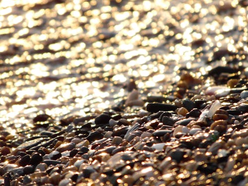 Pebbles Near Body of Water