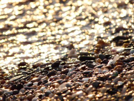 Close-up of wet pebbles on a beach with sunlight creating a golden bokeh effect.