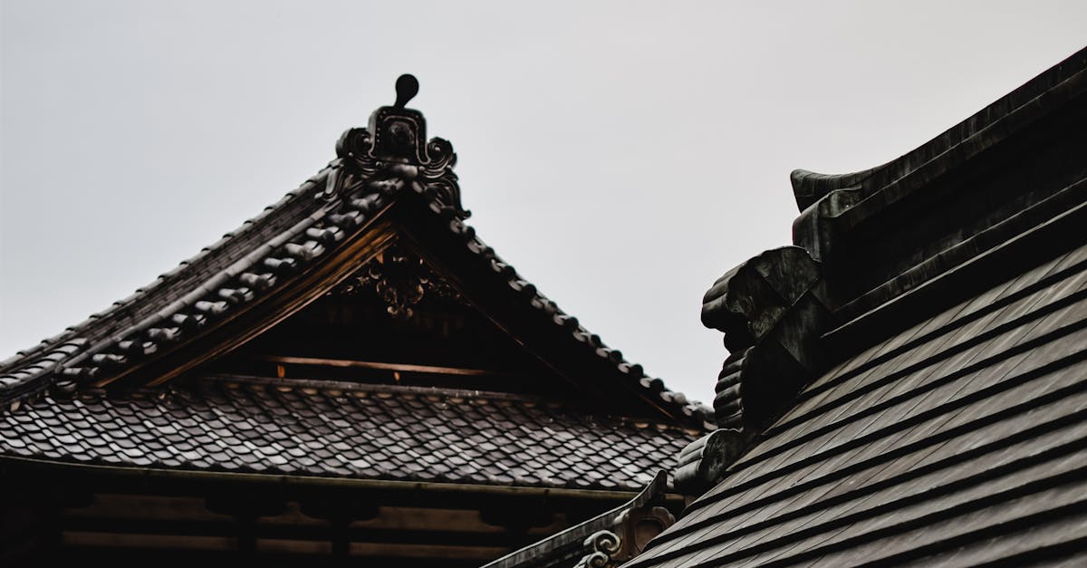 Japón: RSE corporativa que fortalece envejecimiento activo y ciudades accesibles Japón: RSE corporativa que fortalece envejecimiento activo y ciudades accesibles