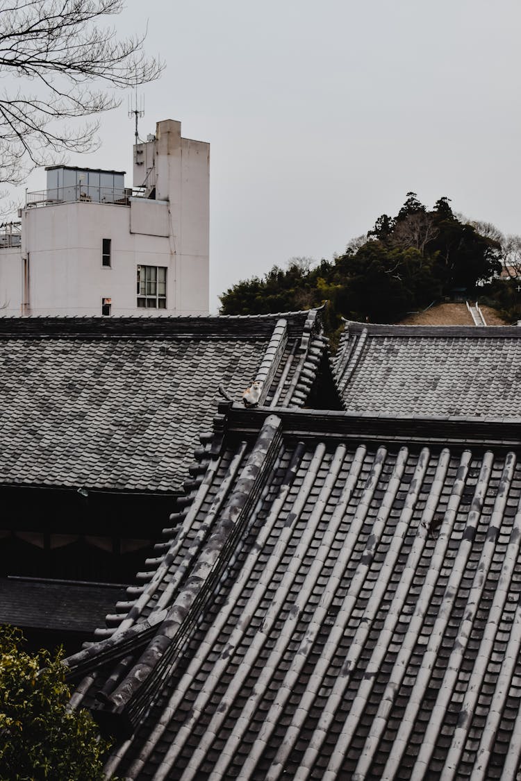 Japanese Tile Roofs