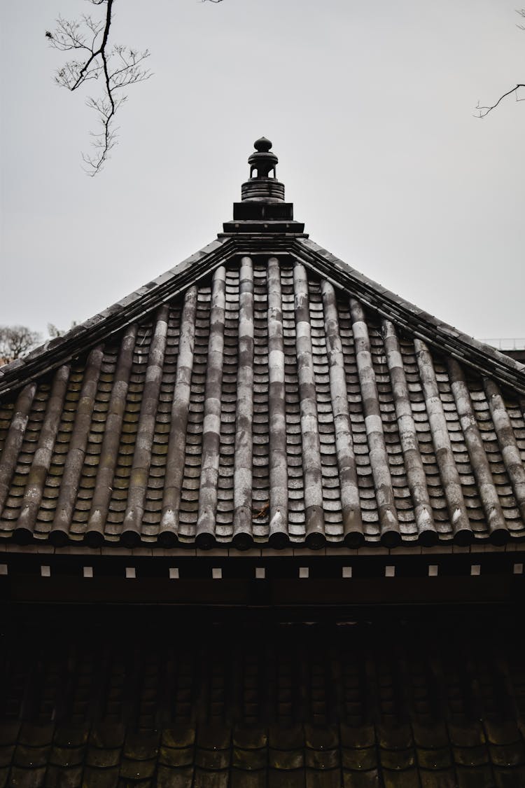 Japanese Traditional Tile Roof