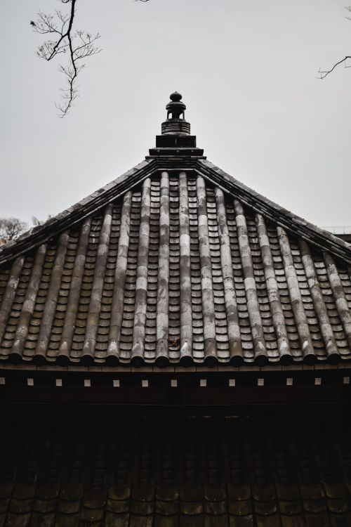 Free A detailed view of a traditional Japanese temple roof in Narita, showcasing cultural architecture. Stock Photo