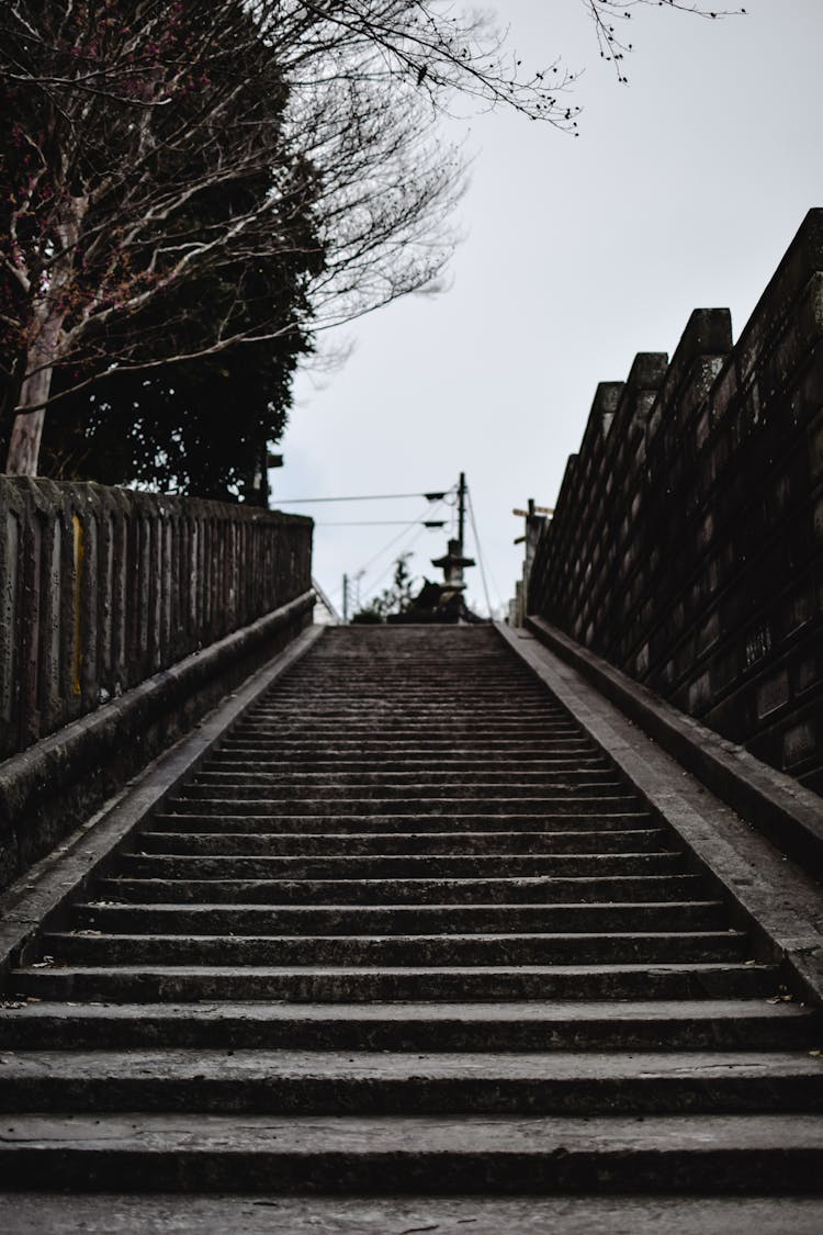 Symmetrical Low Angle View Of Stairs 