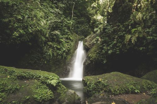 Free Captivating waterfall amidst lush tropical forest, offering a serene and tranquil natural scene. Stock Photo