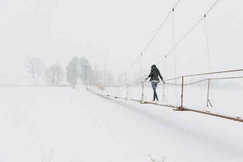 人, 冬, 寒波の無料の写真素材