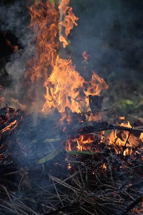 Free stock photo of burned, chama, fire