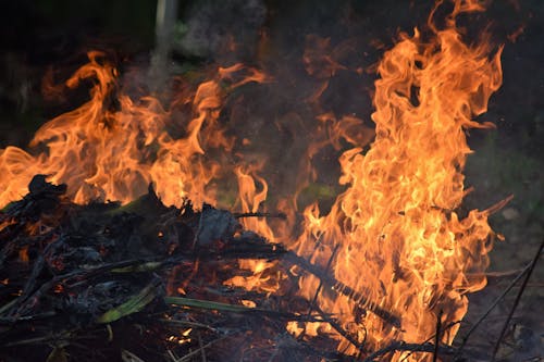Free stock photo of burned, chama, fire
