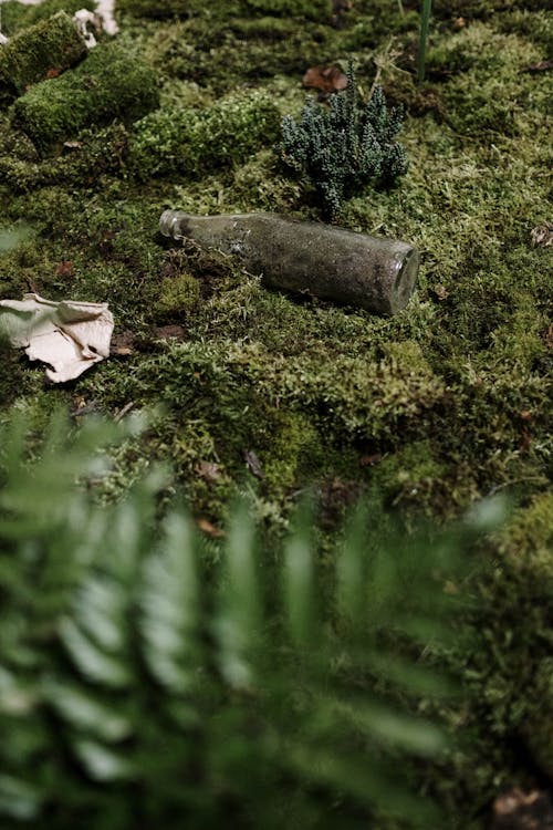 Free Abandoned Glass Bottle  Stock Photo