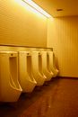Photograph of a Restroom with Urinals