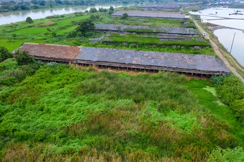 Drone view of old abandoned huts located among green plants on coast of river