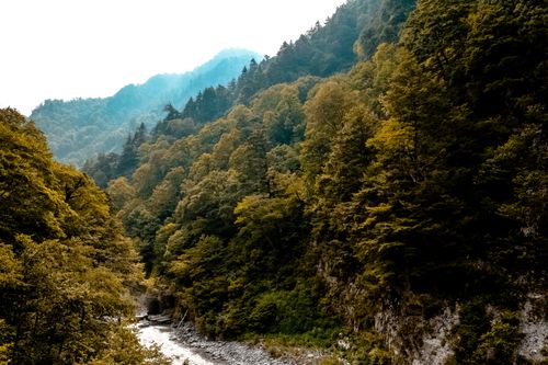 Free Lush green forest and a flowing river in a tranquil mountainous valley scene. Stock Photo
