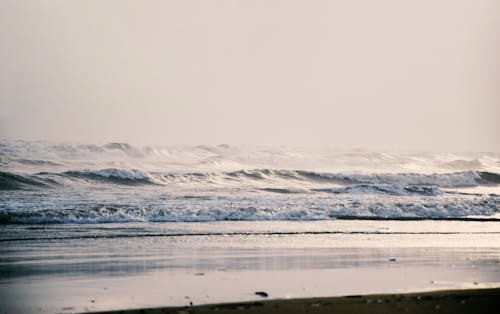 Foto profissional grátis de água, areia, beira-mar