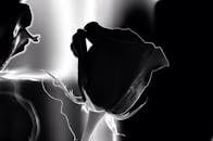 这张优雅的黑白高对比度图像展示了一朵盛开的玫瑰