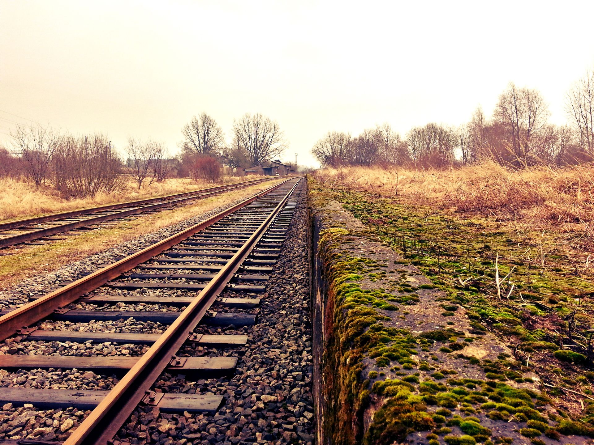 A serene view of a railroad track surrounded by autumn foliage and mossy stonework.