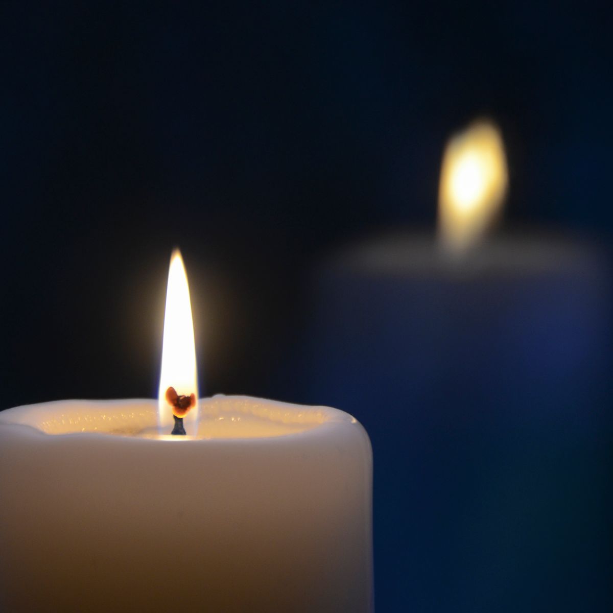 Nightfall Wood-Wick Candle — photo 1