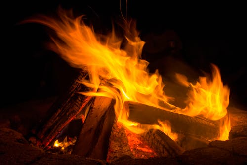 뜨거운, 불, 숲의 무료 스톡 사진
