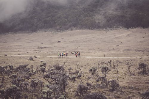 Бесплатное стоковое фото с альпинист, африканцы, безоблачное небо