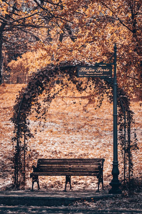 Free Decoration over Bench in Park in Autumn Stock Photo