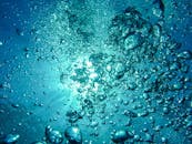 水下的气泡捕捉着流动的阳光，向水面升起