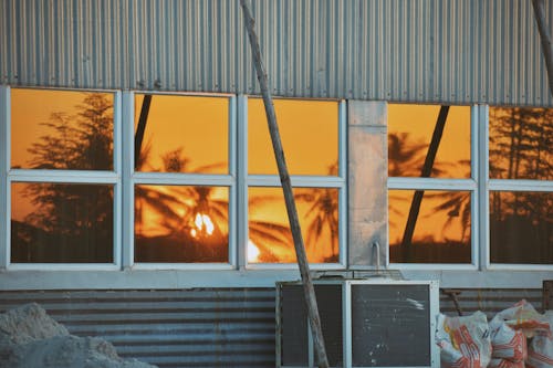 Free Palm Trees Reflecting in Windows at Sunset Stock Photo