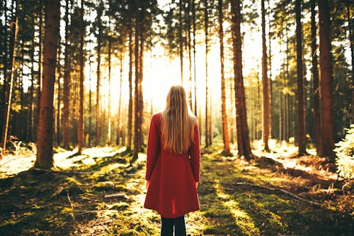 Free Woman Standing Under Green Trees Stock Photo