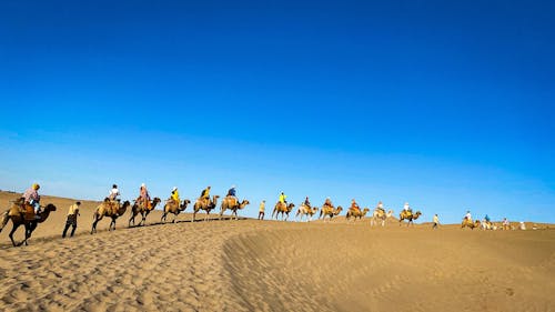 Foto d'estoc gratuïta de bell paisatge, desert, fotografia de viatges