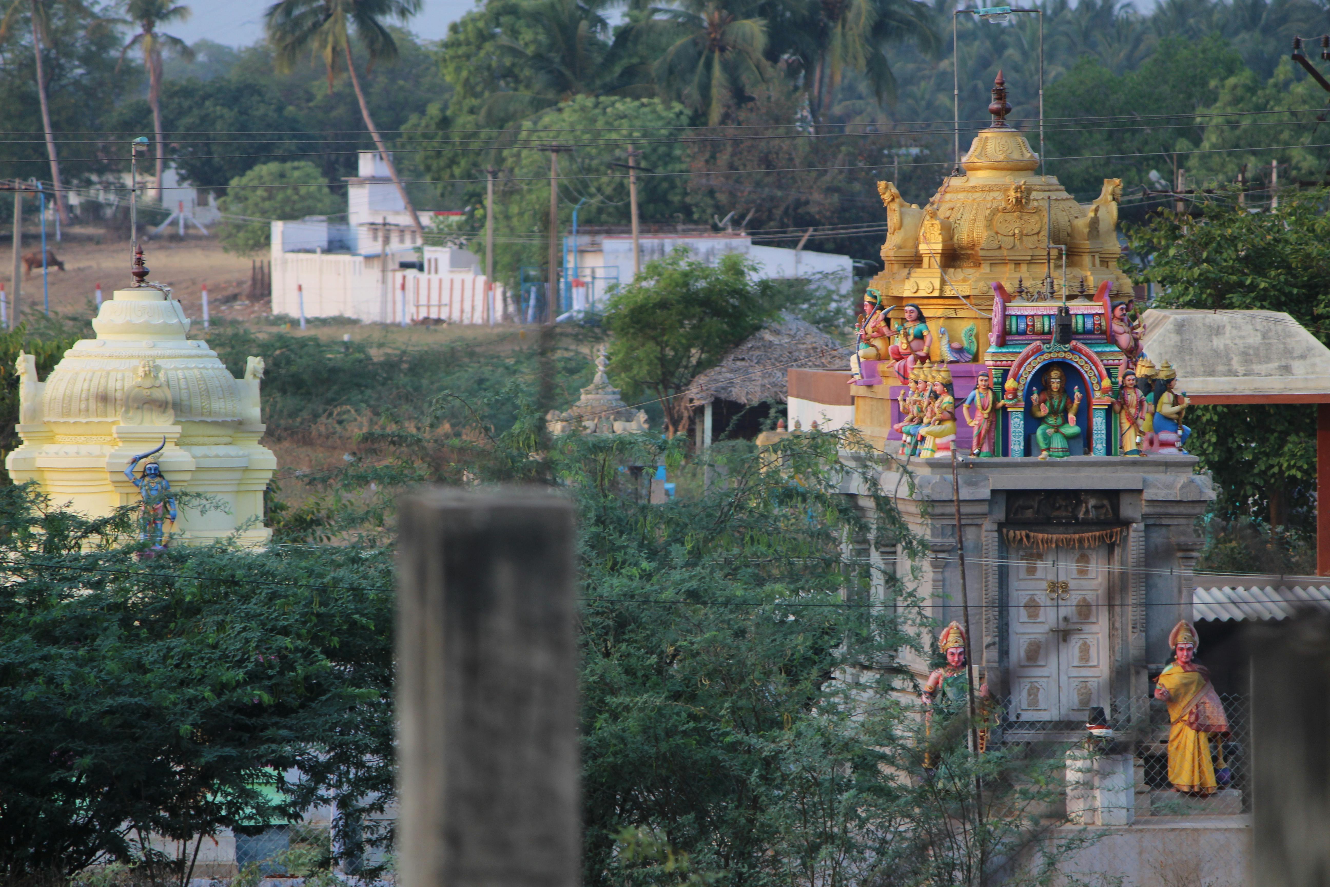 Free stock photo of temple, vedasandur