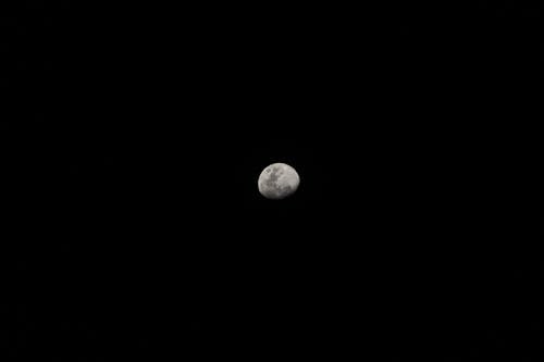 Fotografia Da Lua