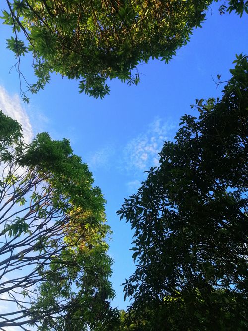 Free stock photo of donate, nature, please Stock Photo