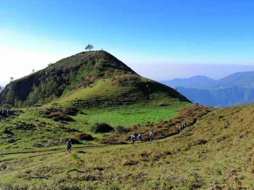 Free stock photo of hiking trail, mountain, mtulap Stock Photo