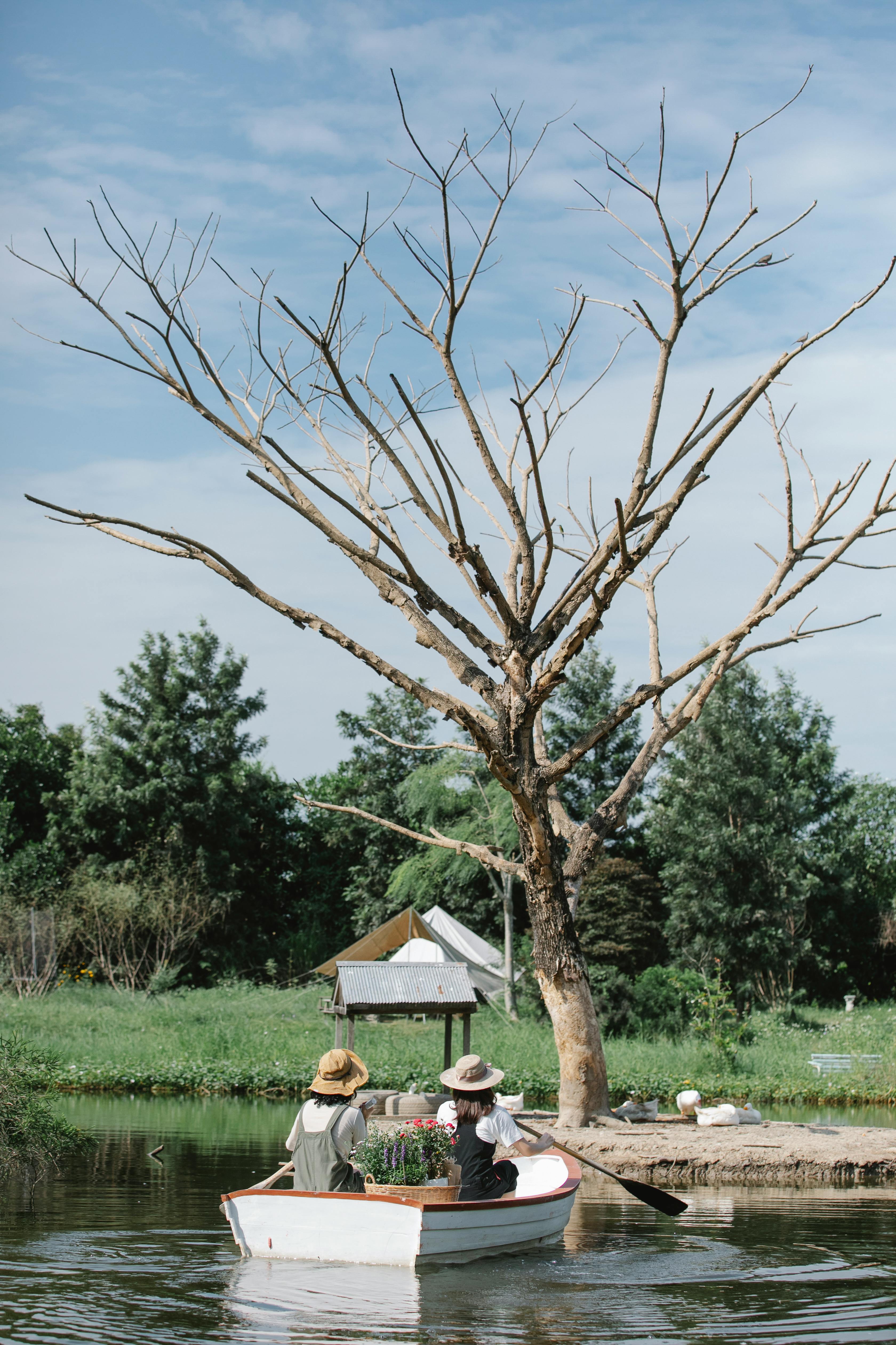 100,000+ Best Tiger Woods Girlfriend Skier Photos · 100% Free Download