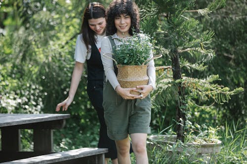 Happy young multiracial female gardeners in overalls walking with wicker basket filled with flowers and plants near bench and green forest and grass in summer sunny day in countryside