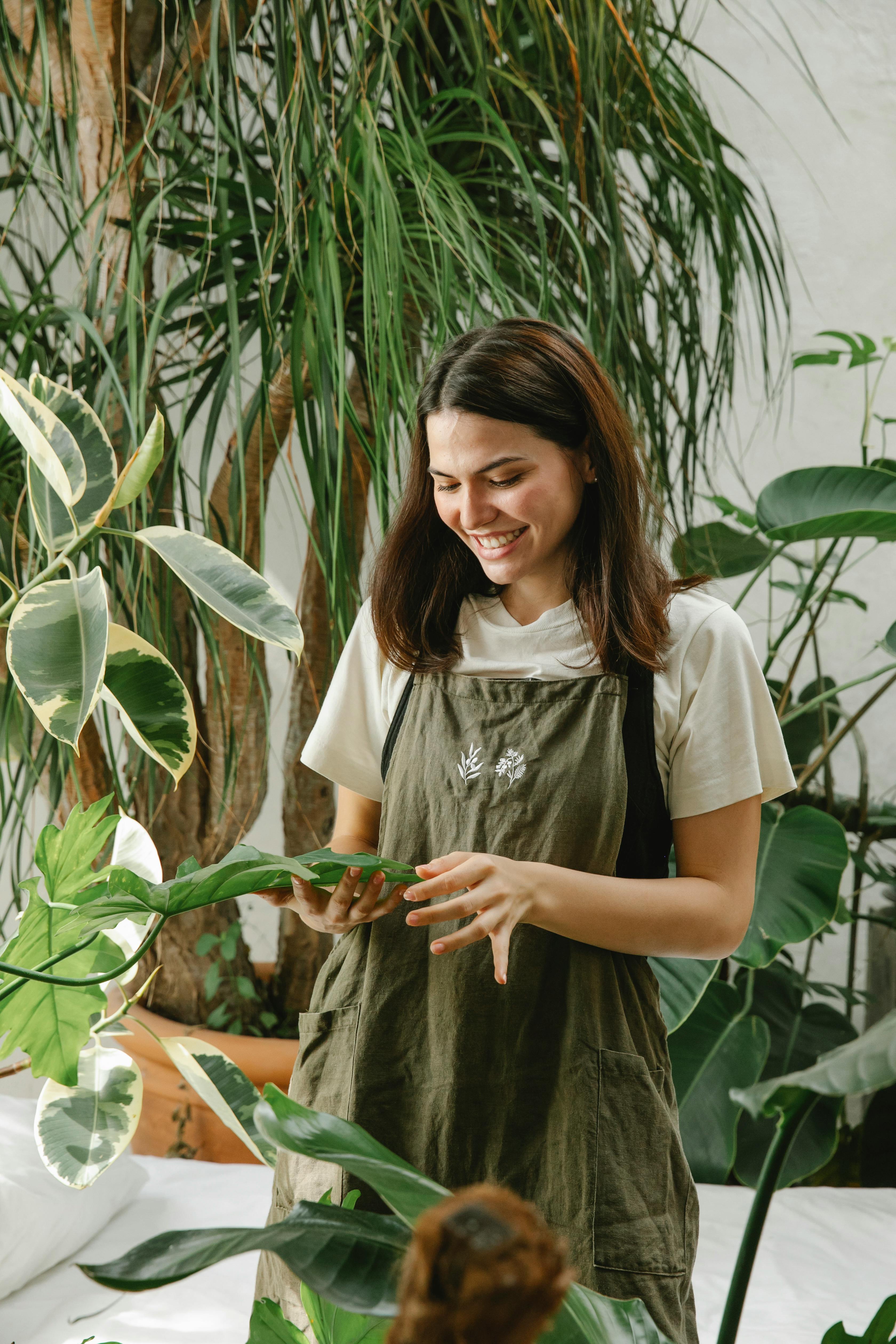 Stratégie SEO sur un écran d'ordinateur