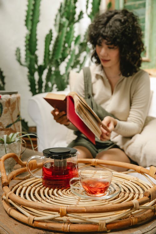 Concentrated young female with curly hair sitting on couch while reading book near table with teapot and cup of tea in cafe