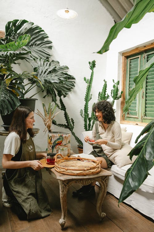 Free Cheerful female client and waitress with cup of tea and teapot looking at each other in cafe with green plants Stock Photo