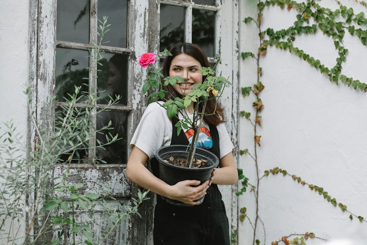 Positive Woman Standing With Potted Rose Near Worn Out House