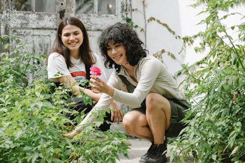 Free Smiling ethnic woman smelling flower bud while caring about plants with friend in garden Stock Photo