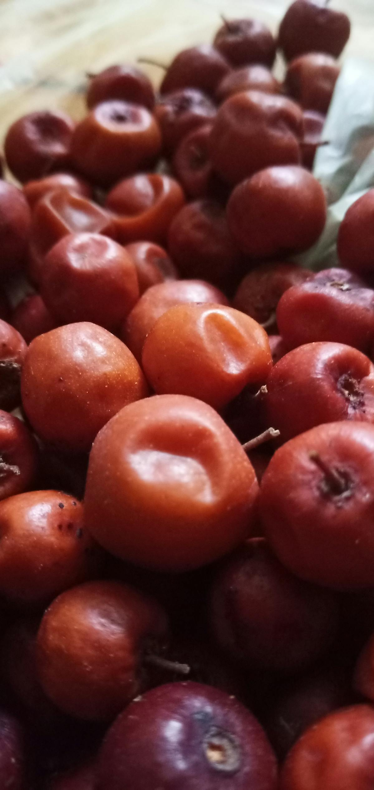 Close-up of a medical professional holding a pen-style injection device