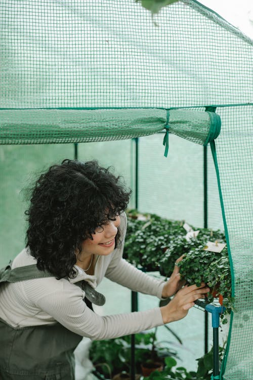 Female gardener planting seedlings in greenhouse